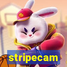 stripecam