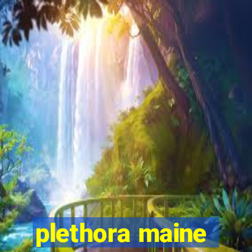 plethora maine