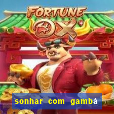 sonhar com gambá jogo do bicho