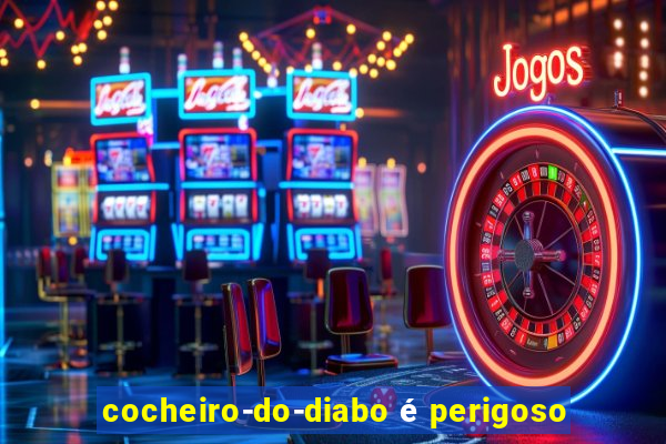 cocheiro-do-diabo é perigoso