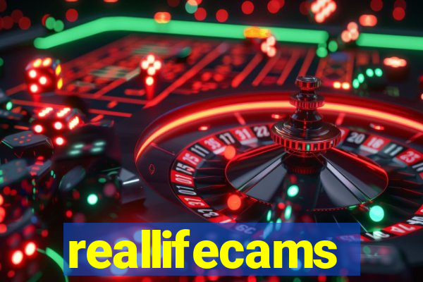 reallifecams