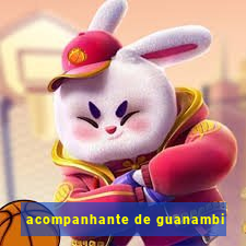 acompanhante de guanambi