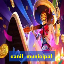 canil municipal porto alegre