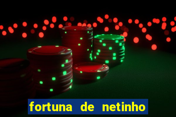 fortuna de netinho de paula