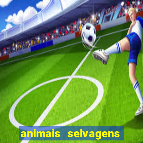 animais selvagens fotos e nomes