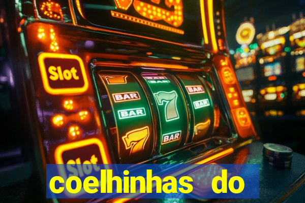 coelhinhas do brasil acompanhantes