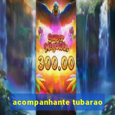 acompanhante tubarao