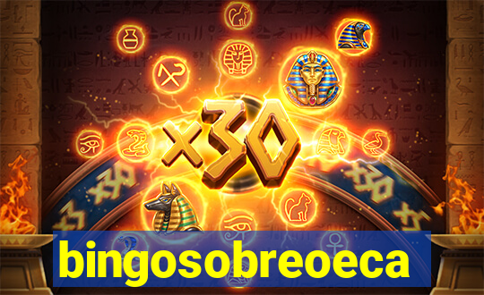 bingosobreoeca