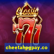 cheetahpgpay.com