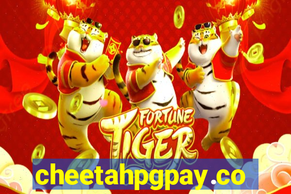 cheetahpgpay.com