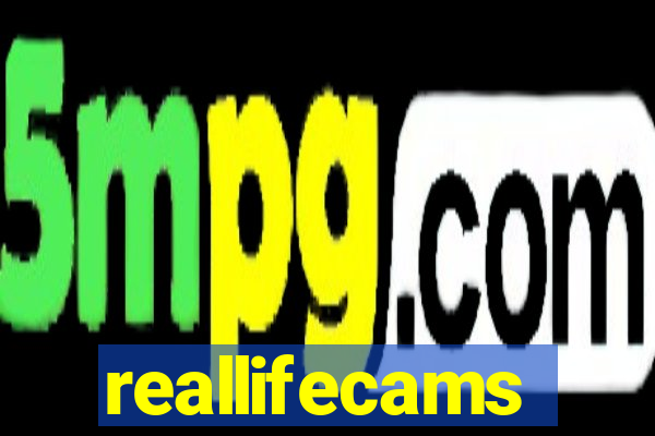 reallifecams